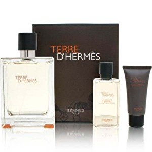 Terre d'Hermes Set 100ml edt + 40ml sg + 15ml asb