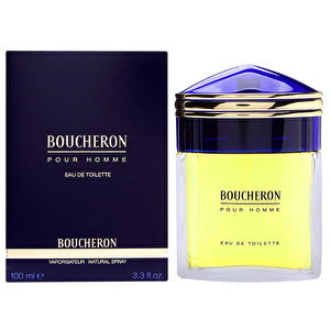 boucheron pour homme 100ml edt